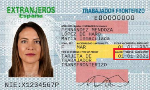Foto TIE delantero